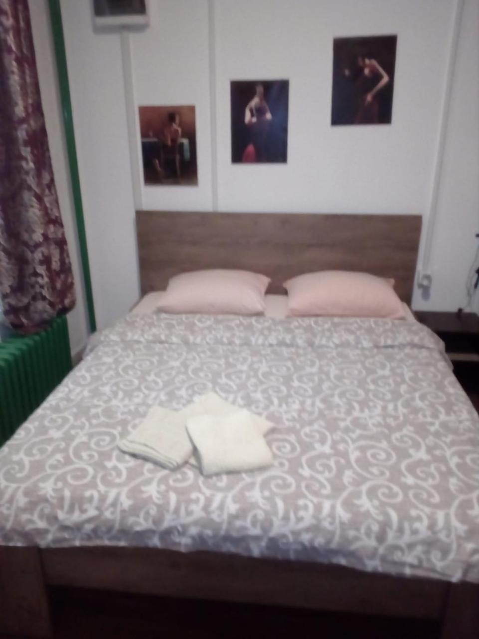 Apartment Viktor Stan Na Dan Šabac Zewnętrze zdjęcie